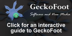 More on GeckoFoot